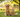 Pet Foods Supplies Toronto