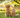 Pet Foods Supplies Toronto