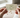pet food Toronto