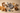 Pet supplies Toronto Local delivery