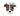 MyFamily Friends Pitbull Pet ID Tag, Medium