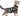 Suitical Recovery Suit for Cats, Black Camo, XXX-Small