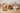 shop pet supplies toronto